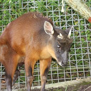 Parque Jaime Duque 2012
