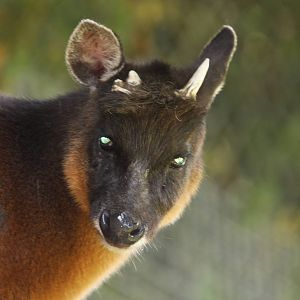 Parque Jaime Duque 2012