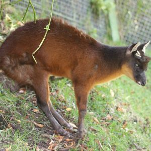 Parque Jaime Duque 2012