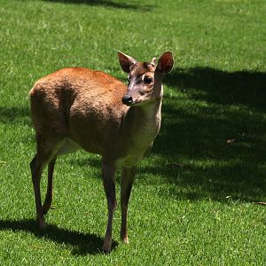 Parque Jaime Duque 2012