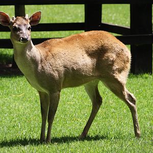 Parque Jaime Duque 2012