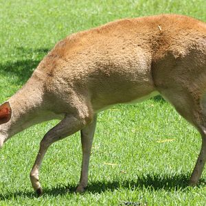 Parque Jaime Duque 2012