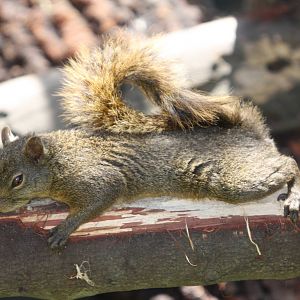 Parque Jaime Duque 2012