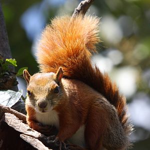 Parque Jaime Duque 2012