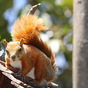 Parque Jaime Duque 2012