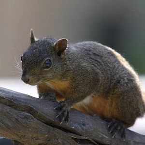 Parque Jaime Duque 2012