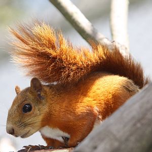 Parque Jaime Duque 2012