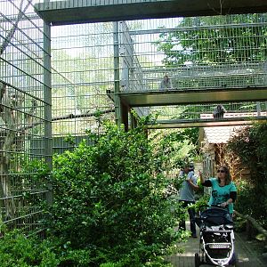 Monkey Bridges at Best, 02/06/12