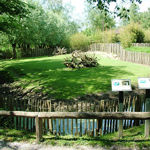 Australian Paddock at Best, 02/06/12