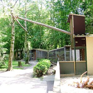 Binturong Enclosure at Best, 02/06/12