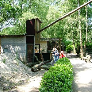 Binturong Enclosure at Best, 02/06/12