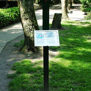 Binturong Signage at Best, 02/06/12