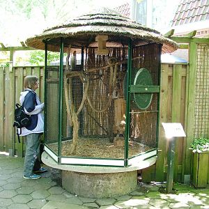 Squirrel Enclosure at Best, 02/06/12
