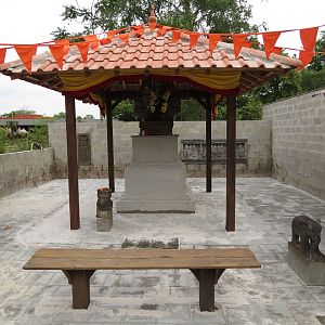 Asian Elephant Enclosure