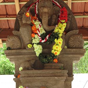 Asian Elephant Enclosure