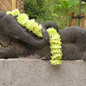 Asian Elephant Enclosure