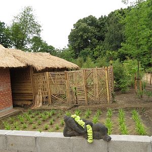 Asian Elephant Enclosure
