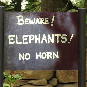 Asian Elephant Enclosure