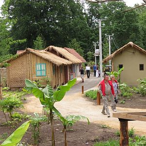 Asian Elephant Enclosure