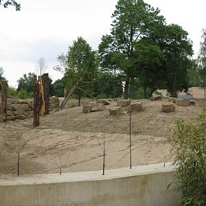 Asian Elephant Enclosure