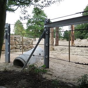 Asian Elephant Enclosure