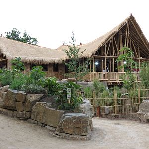 Asian Elephant Enclosure