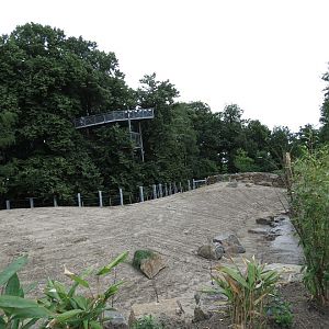 Asian Elephant Enclosure