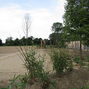 Asian Elephant Enclosure