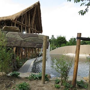 Asian Elephant Enclosure