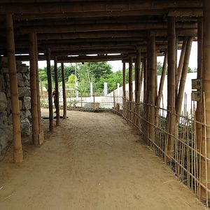 Asian Elephant Enclosure