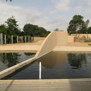 Asian Elephant Enclosure