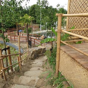 Asian Elephant Enclosure