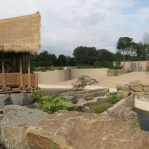 Asian Elephant Enclosure