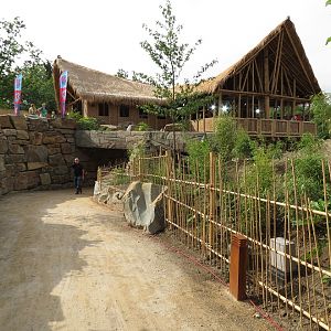 Asian Elephant Enclosure