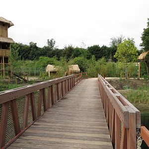Asian Elephant Enclosure