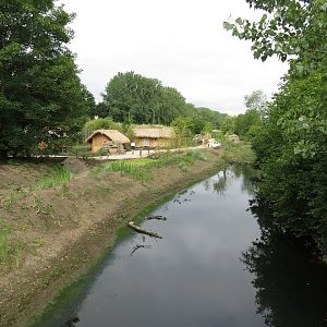 Asian Elephant Enclosure