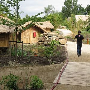 Asian Elephant Enclosure