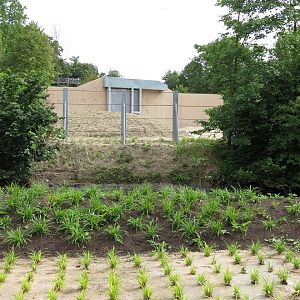 Asian Elephant Enclosure