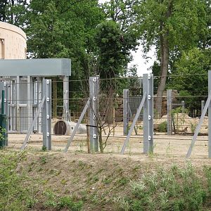 Asian Elephant Enclosure