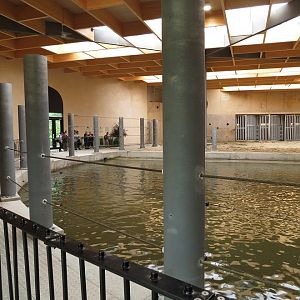 Asian Elephant Enclosure