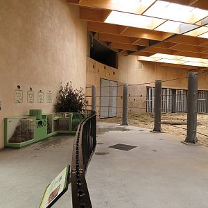 Asian Elephant Enclosure