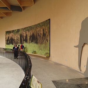 Asian Elephant Enclosure