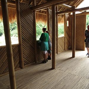 Asian Elephant Enclosure