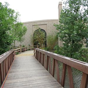 Asian Elephant Enclosure