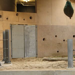 Asian Elephant Enclosure