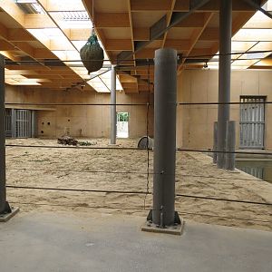 Asian Elephant Enclosure