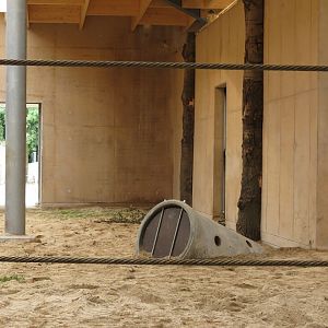Asian Elephant Enclosure