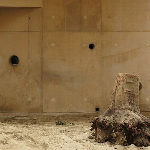 Asian Elephant Enclosure