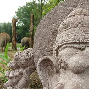 Asian Elephant Enclosure