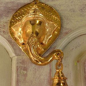 Asian Elephant Enclosure